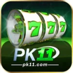 Pk 11 Game
