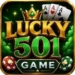 Lucky 501 Game